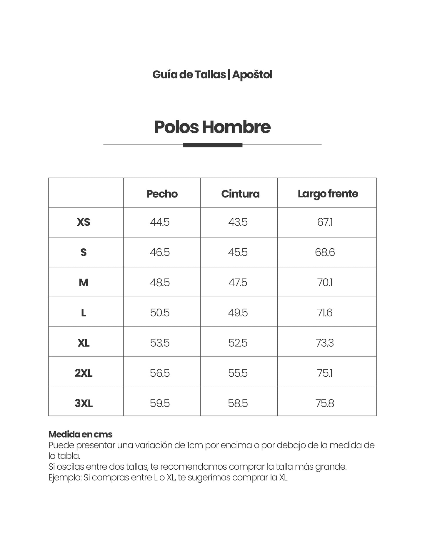 Polo Arena / Regular Fit